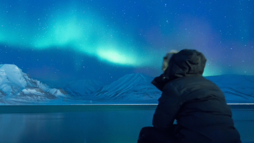 person gazing ahead at the northern lights above snowy mountains